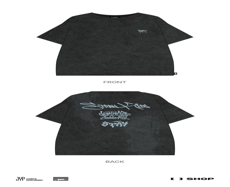 Limited Edition Stray Kids MerchOfficial Merch Releases